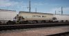 TSW2_David_1644512651_00.jpg