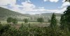 TSW_Matthew_1541270064_00.jpg