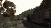 Screenshot_Norfolk Southern Coal District_39.97492--80.40863_14-07-27.jpg