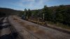 TSW2_TAPper_1646666229_00.jpg
