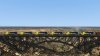 SD40-2 3.jpg