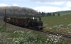 The sheep ignore the branch goods, Portbyvie branch, GNoSR.jpg