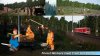 Forest Workers.jpg