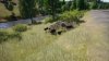 TSW2_Coppo_1650803829_99.jpg