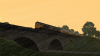 24010_20220425221802_1.png