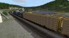 Screenshot_B&O Mountain Subdivision_39.47114--79.05995_09-39-05.jpg