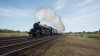 3559dcbd-0bf3-4fdf-bd34-6952c1bc7bf0.jpg
