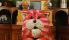upload_2022-6-24_19-23-9.png