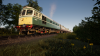 TSW_Wil Ian_1543347730_00.png