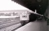 40199 2-10-2008_044.JPG