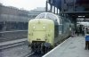 55003 b.JPG