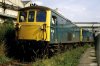 Class_73_Reeds_New_Hythe.jpg