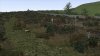 Highlands_sheep crossing tracks.jpg