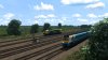 Class 175 4.jpg