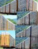 autoracks.jpg