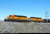 DSC_4000-0325.jpg