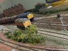 144A42CC-0AEC-4DD4-BB8C-6563671A8EDD.jpeg