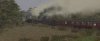 Screenshot_South West Branch Line_51.06480--4.05618_09-06-49.jpg