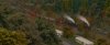 Screenshot_Clinchfield Railroad - Elkhorn City to St Paul_36.93608--82.28322_15-18-31.jpg