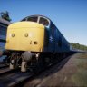TrainMaster15YT