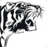 Siberian Tiger