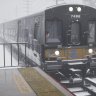 traintransport45