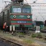 Belka_RUS