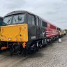 david5150