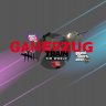 gamerzug#2071