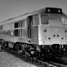 philwest#7393