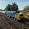tibbs#9402