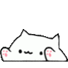 Kitten