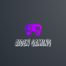 aidengaming#1535