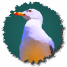 Marius28