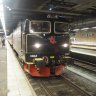 trattfisk#8247