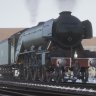 tomtrainboi#1289