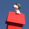 hauipilot
