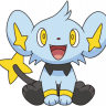 Shinx