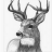 TeamDeer