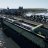 railfan#6193