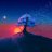 virtualcanva#8904