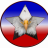 SGTDRE
