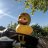 Wee Duck