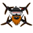 phoenixbondi