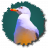Marius28