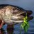 Esoxflyfishing