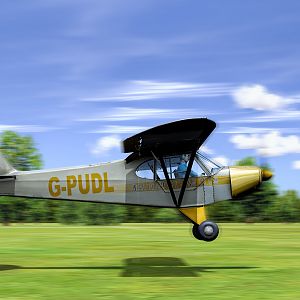 The real Cub and the Cub in FSW