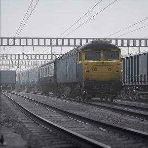 IMG_1243