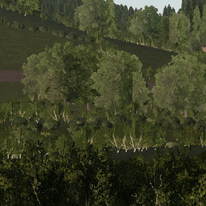 Trees