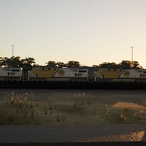 Go Loco Railroad 8